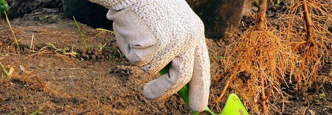 Hand mit Handschuh und Schaufel pflanzt